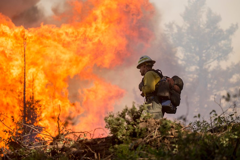 Wildfire and firefighter