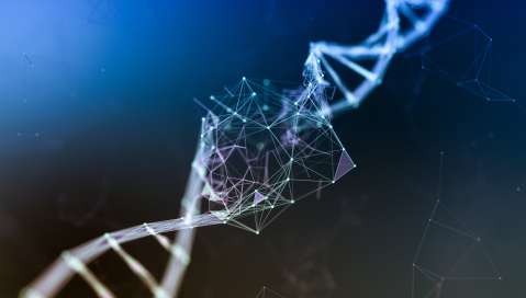 Digital Image of DNA 